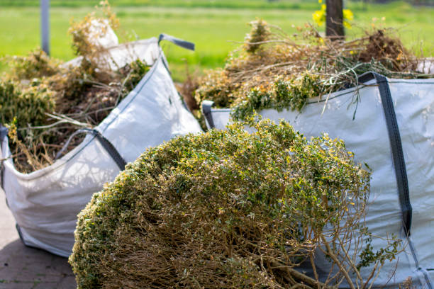 Best Residential Junk Removal  in Chicago Ridge, IL