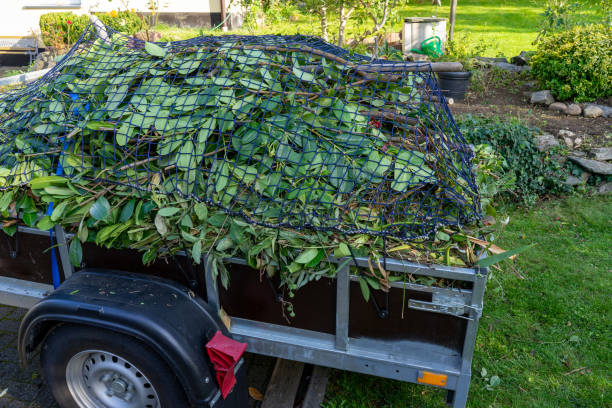 Best Residential Junk Removal  in Chicago Ridge, IL